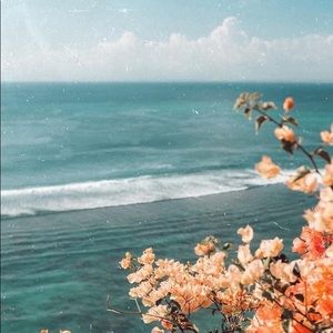 Meet your Posher, Sasha